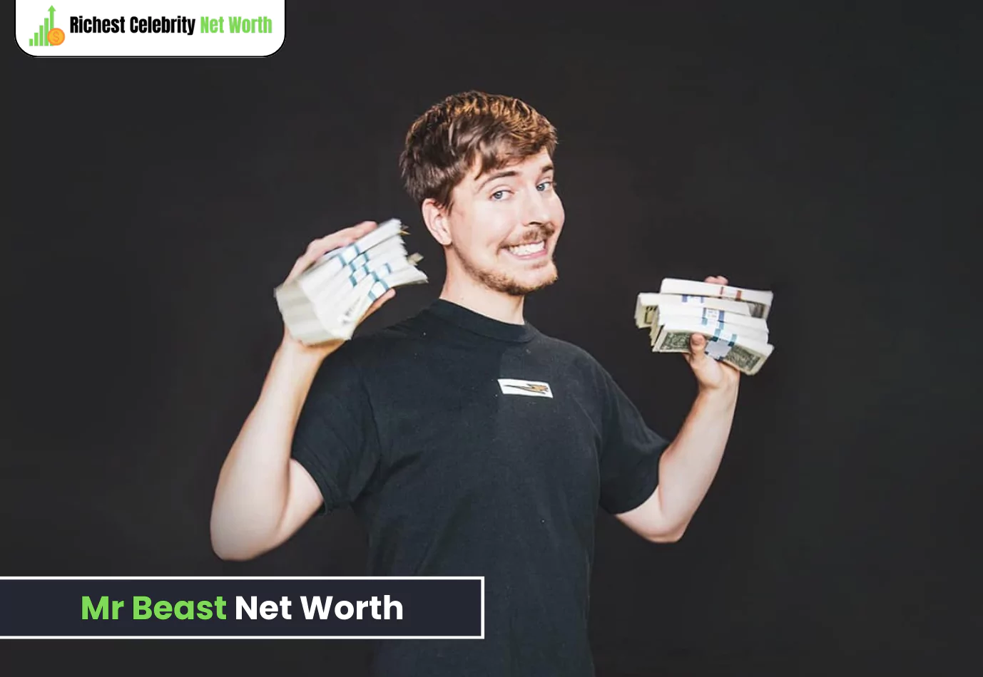 mr beast net worth